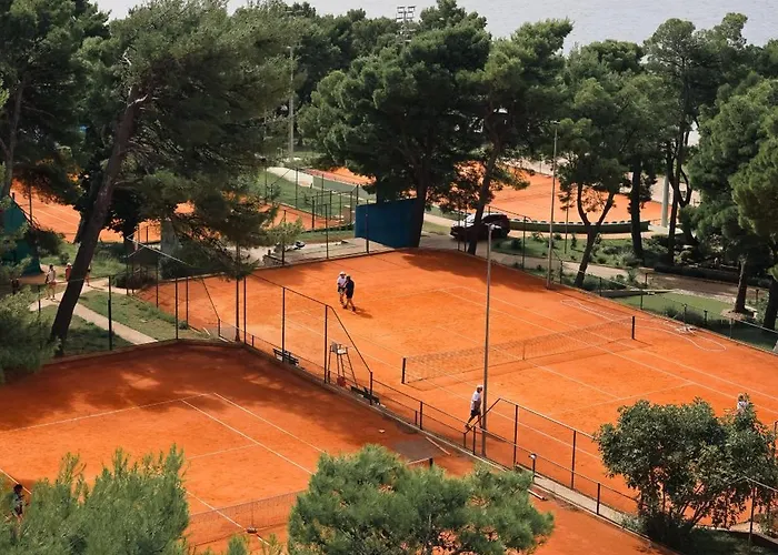 酒店 Boutique Mirjam 4*